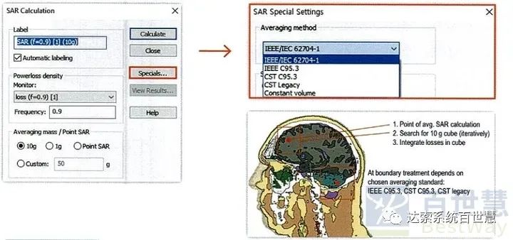 CST基礎057-計算人體比吸收率（SAR）